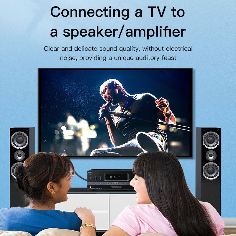 CHOSEAL Cavo RCA Digitale Coas - Home Cinema Tv recensione e prezzo